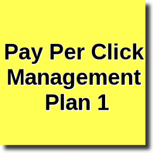 Pay Per Click management Plan 1